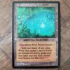Conquering the competition with the power of Primal Amulet A2 #mtg #magicthegathering #commander #tcgplayer Artifact