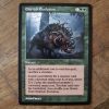 Conquering the competition with the power of Eldritch Evolution A 1 #mtg #magicthegathering #commander #tcgplayer Green