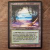 Conquering the competition with the power of Tropical Island A #mtg #magicthegathering #commander #tcgplayer Land