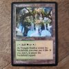 Conquering the competition with the power of Temple Garden A #mtg #magicthegathering #commander #tcgplayer Land