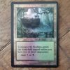 Conquering the competition with the power of Undergrowth Stadium A F #mtg #magicthegathering #commander #tcgplayer Land