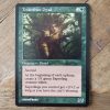 Conquering the competition with the power of Tendershoot Dryad A #mtg #magicthegathering #commander #tcgplayer Creature