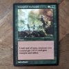 Conquering the competition with the power of Triumph of the Hordes A #mtg #magicthegathering #commander #tcgplayer Green
