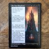 Conquering the competition with the power of Sheoldred The True Scriptures A2 #mtg #magicthegathering #commander #tcgplayer Black