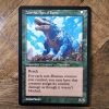 Conquering the competition with the power of Invasion of Ikoria A2 #mtg #magicthegathering #commander #tcgplayer Battle - Siege
