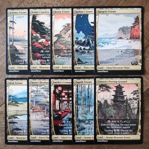Conquering the competition with the power of Fetch Lands Set B #mtg #magicthegathering #commander #tcgplayer Land
