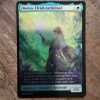 Conquering the competition with the power of Dionus, Elvish Archdruid #A #mtg #magicthegathering #commander #tcgplayer Commander