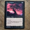 Conquering the competition with the power of Tree of Perdition #A #mtg #magicthegathering #commander #tcgplayer Black