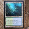 Conquering the competition with the power of Misty Rainforest #A #mtg #magicthegathering #commander #tcgplayer Land