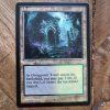 Conquering the competition with the power of Overgrown Tomb #A #mtg #magicthegathering #commander #tcgplayer Land
