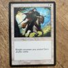 Conquering the competition with the power of Kinsbaile Cavalier #A #mtg #magicthegathering #commander #tcgplayer Creature